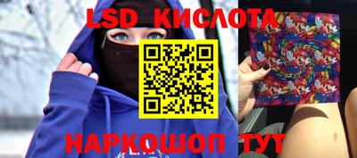 стафф Бийск