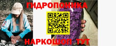 стафф Бийск