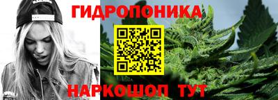 стафф Бийск