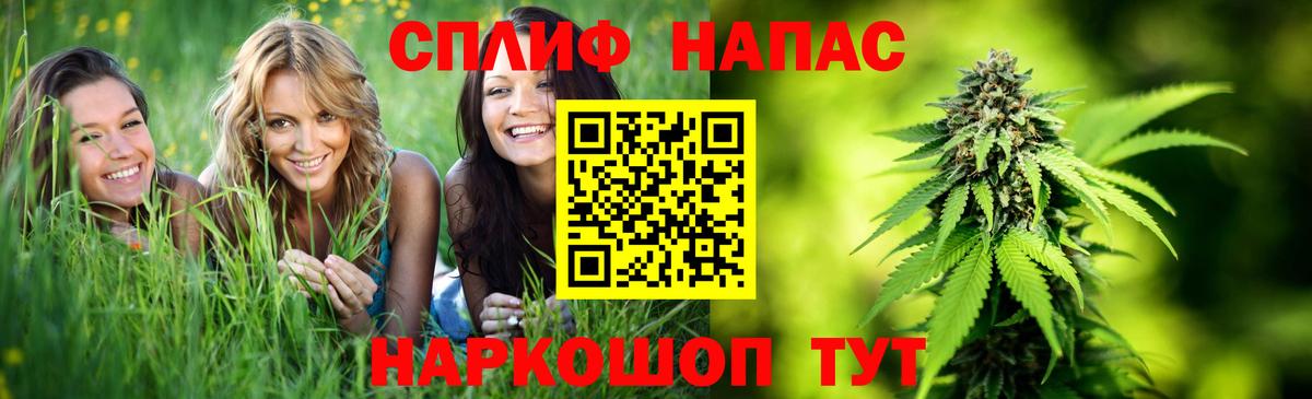 Канабис планчик Когалым